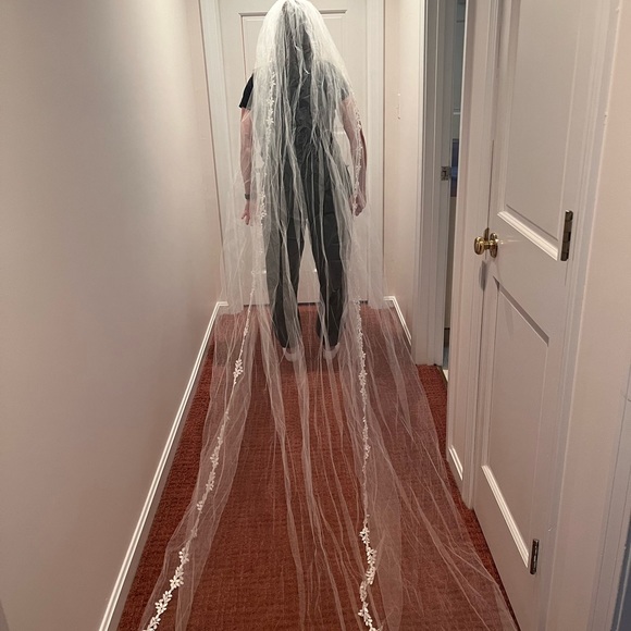 Exquisite silk cathedral length bridal veil. 30’ long. New. - Picture 9 of 9